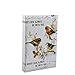 Arpan Large 6x4 Vintage Family Birds Photo Album With 300 Pockets Slip In Memo Album
