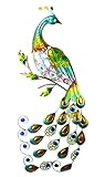 ¡Aclare encima de su hogar o jardín con esta decoración imponente de la pared del pavo real!