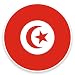 Produktbild 2 x Tunesien Flagge Vinyl Aufkleber Aufkleber Laptop Reise Gepäck Auto Ipad Schild Fun # 9123 - 15cm/150mm Wide