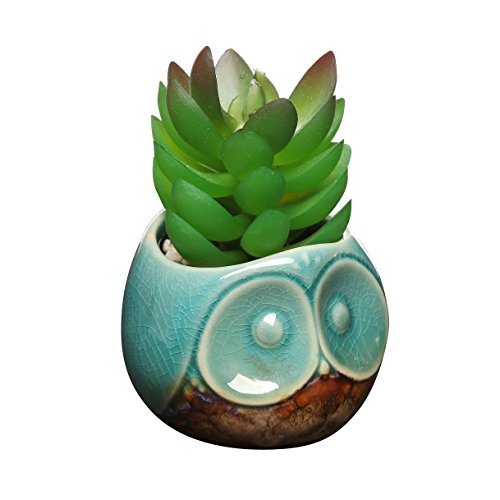 MyGift 7,6 cm türkis & braun kleine Eule Design Keramik Sukkulente Übertopf/Flower Bud Topf/Mini Deko Vase - 4