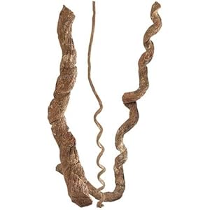 Liane, ca. 50-80 cm 1 Stück