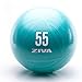 Produktbild ZIVA Anti Burst Core Fitness Exercise Ball - Professional Grade Slip Resistant Yoga Ball for Stability Balance - Multiple Sizes, 55-75cm