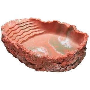 Trinkschale L, rot, 550 ml, 24x5x17