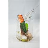 Glas mit Innenleben, Sechskantglas