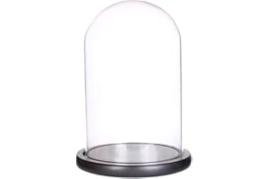 LegendTech Cloche dôme en verre avec base en bois noir (15 x 30 cm)