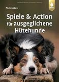  Spiele und Action für ausgeglichene Hütehunde: Border Collie, Australian Shepherd und Co. rassegerecht auslasten