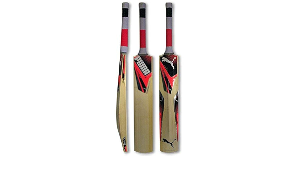 puma evospeed 4 cricket bat