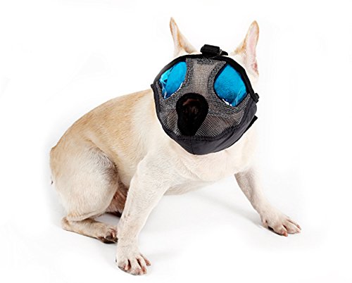 muzzle for flat nosed dogs