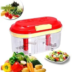 NR MART ABS Unbreakable Hand-Powered Double Bowl Twin Vegetable Chopper