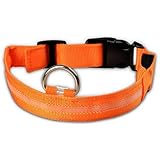 Hosaire Hundehalsband, USB, wiederaufladbar, Halsband, für Tiere, LED, Leuchthalsband für Hunde, S, M, L, XL, zur Auswahl