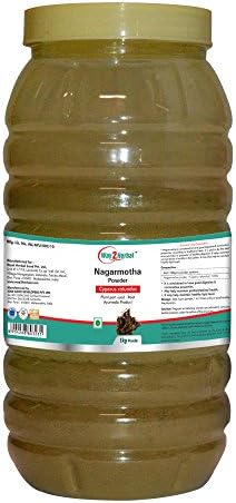 Nagarmotha powder - 1 kg by way2herbal