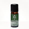 Absolute Aromas Frosted Forest Essential Oil Blend - 100% Pure Essential Oils of Pine, Cedarwood, Cypress and Spearmint