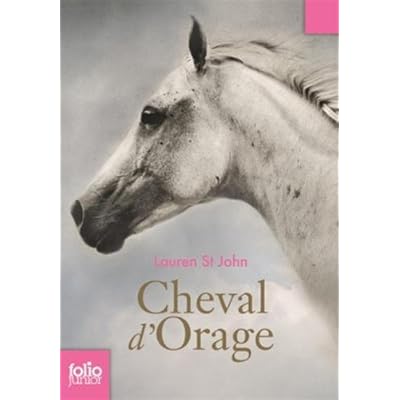 Cheval d'Orage (Tome 1-Un champion sans prix) Cheval d'Orage (Tome 1-Un champion sans prix)