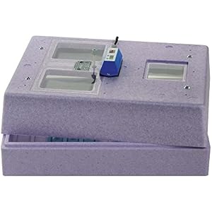 Bruja Brutmaschine Inkubator Modell 3000 DIGITAL für Reptilieneier Reptilien