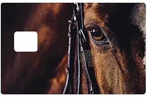 DECO-IDEES Credit card sticker, US format, horse - differentiate and decorate your bank card according to your wishes