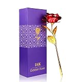 Long Stem 24k Rose Red Plated Rose Flower Foil Flower with Free Luxury Gift Box Best Gift for the Valentine's Day, Mother's Day, Birthday, Wedding Ceremony (Rose Red)