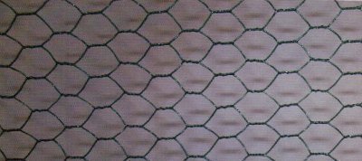 6-eck Drahtgeflecht 25x1,0x500mm x10m PVC-beschichtet, tannengrün