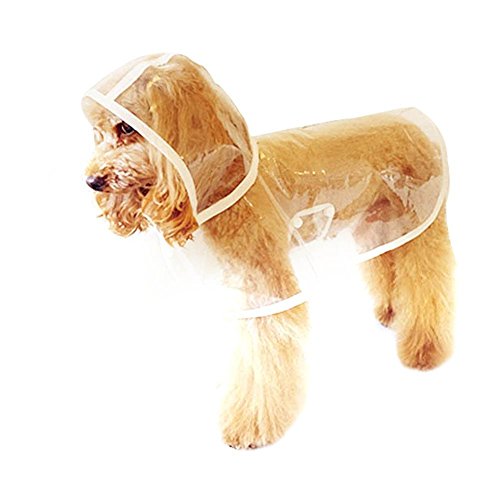poodle raincoat