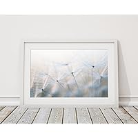 Fotodruck Fine Art Print 