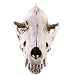 Produktbild MagiDeal Realistisch Schakal Schädel Harz Lehr Skelett Modell Figur für Sammlung Aquarium Dekor