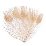 Nuestras plumas de pavo real y espadas de pavo real son ideales para varios proyectos de manualidades, pendientes, colgantes, decoración de la casa, decoración de bodas, decoración de vacaciones, prendas y sombreros, etc.