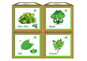 Sow and Grow DIY Easy Gardening 4 Green Kits | Mint + Coriander + Italian Basil + Spinach Plant for Home and Garden (Grow it Yourself) Best Eco Friendly Kids Birthday Return Gift