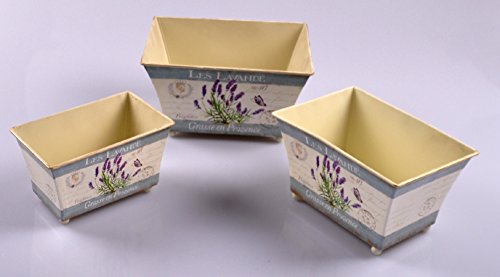 Preisvergleich Produktbild PFLANZSCHALE 3ER LAVENDEL 42255-06