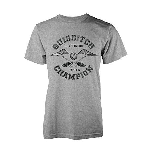 Harry Potter Quidditch Champion T-Shirt hellgrau meliert Hellgrau Meliert