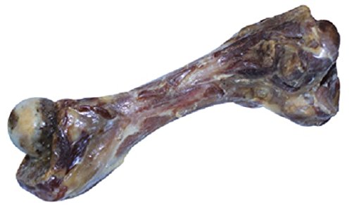 CROCI-Joypet-Big-Ham-Bone