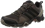 adidas Herren Terrex Ax 2r Gtx Wanderschuhe
