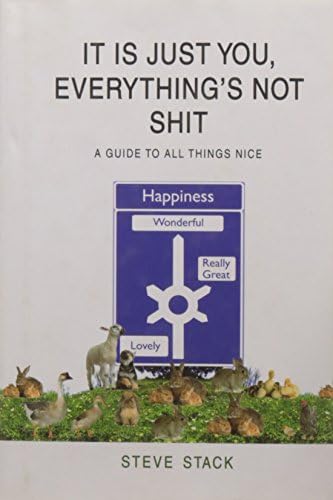 It Is Just You - Everything's Not Shit