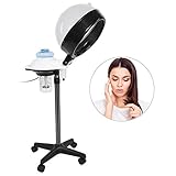 Vapeur de cheveux - Outils de coiffure et de beauté portables,Pour le soin des cheveux après teinture, permanente, conditionnement et teinture,Convient aux coiffeurs de famille ou de salon