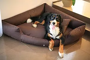 slatters be royal store Rectangular Shape Reversable Dual Brown Color Ultra Soft Ethnic Designer Velvet Bed for Dog/Cat (Export Quality) XXL Size: 110 * 80 * 20 cm.