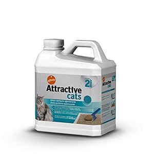 Affinity Attractive Arena Sanitaria Aglomerante para Gato 6 kg