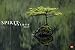 Spirit of Nature Edition - Kalender 2017 by 