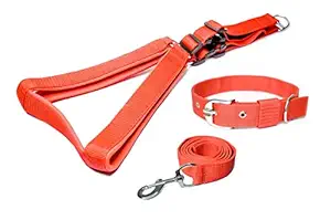 YOUNIQUE MERCHANDISE Premium Strong Nylon Everyday Dog Collar Leash Buckle Dog Harness Set Combo (Red, Small)