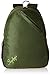 Skybags Brat 21 Ltrs Olive Casual Backpack (BPBRA3OLV) RS.639.00