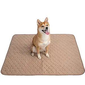 EZwhelp Pee Pads for Dogs - 60