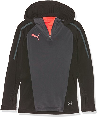 PUMA Trg Sweat-shirt à capuche Enfant Puma Black/Ebony/Fiery Coral