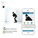 Ideanext Wireless 720P High Definition IP Network Video Monitoring Camera Security Surveillance Monitor Supports Microsd DVR Night Vision Record Video Two-way Audio, Motion Detection, Remote Internet Viewing for iPhone, iPad, Android Smartphone or PC (1501)