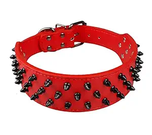 Dogs Kingdom Leather Black Spiked Studded Dog Collar 2