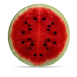 DreamVio Round Cushion/Foam Cushion Velvet Fabric Suitable for Wheelchair, Car Seat, Home, Outing Purpose (Multicolour, 14 x 14 inch) Design 47