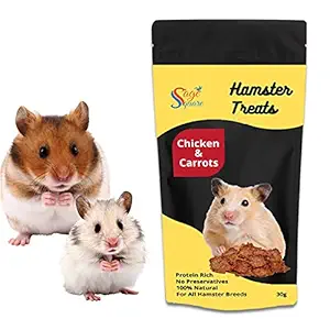 Sage Square Chicken & Carrot Hamster Treat, Crunchy Protein Rich Snack, No Preservative (30g)