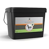 Equsana Snack Apfel für Pferde, 4 kg