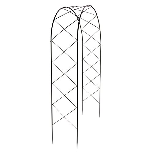 Rosenbogen Bozen - 2