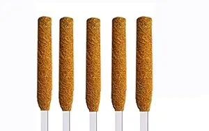 LIVEONCE - 1 feet Moss and Coir Stick for Indoor, House and Plant Creepers Support (Brown, 1 ft) -5 Pieces