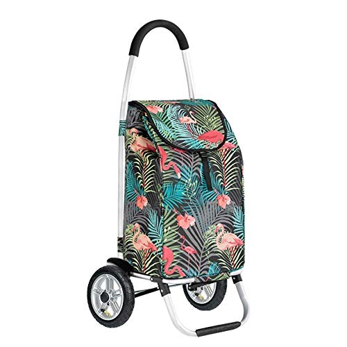 AOLI Pieghevole leggero Carrello | Ruote Wagon a 2 ruote 53L Max.40Kg,C48 * 39 * 100 cm