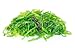 Produktbild Alu-Dibond-Bild 140 x 90 cm: "A portion of fresh wakame seaweed on a white background", Bild auf Alu-Dibond