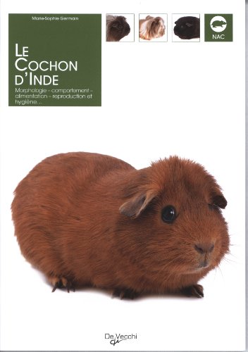 couverture de : Le cochon d'Inde