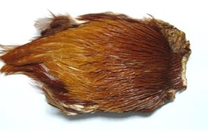 Pechetruite 1 x India Cuello - Marron Fur Fliegenbinden